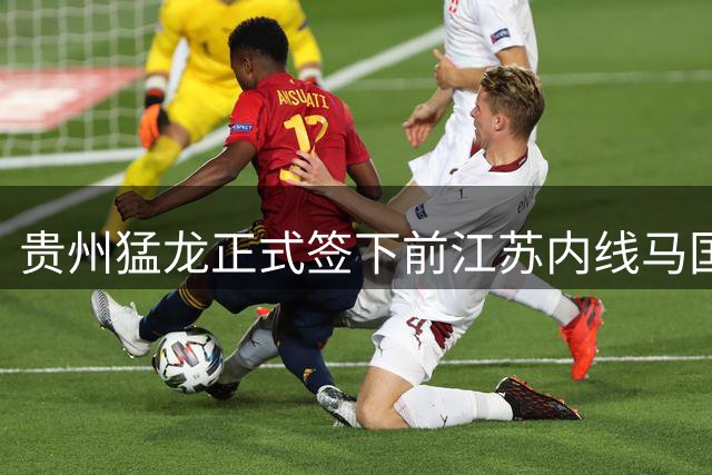 贵州猛龙正式签下前江苏内线马国栋 曾单场43+19
