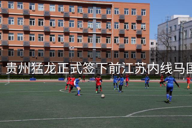 贵州猛龙正式签下前江苏内线马国栋 曾单场43+19